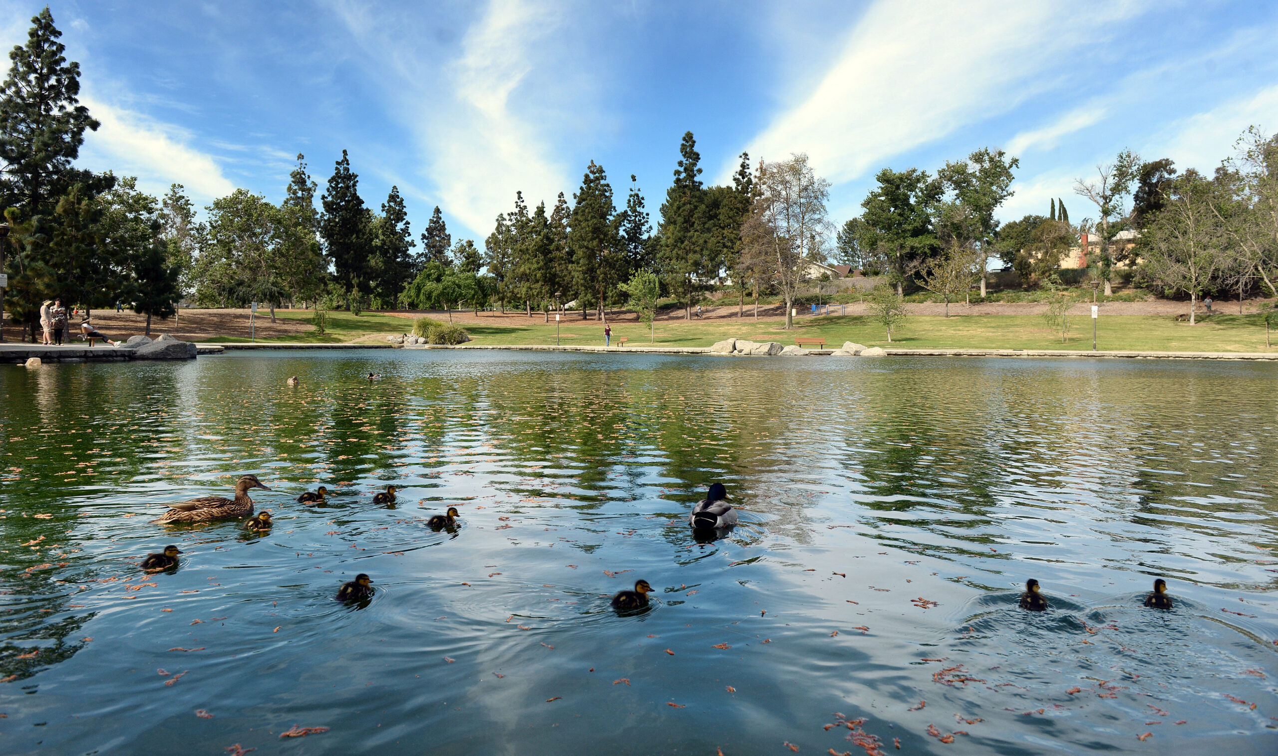 Red Hill Community Park